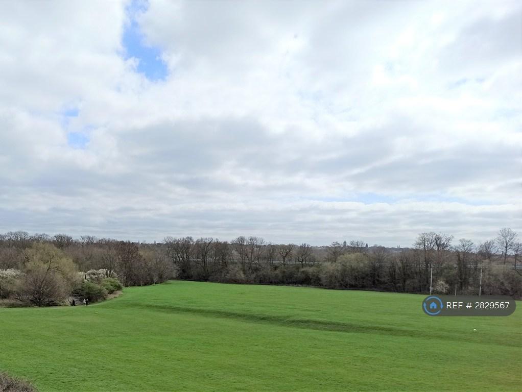 Open Public Fields