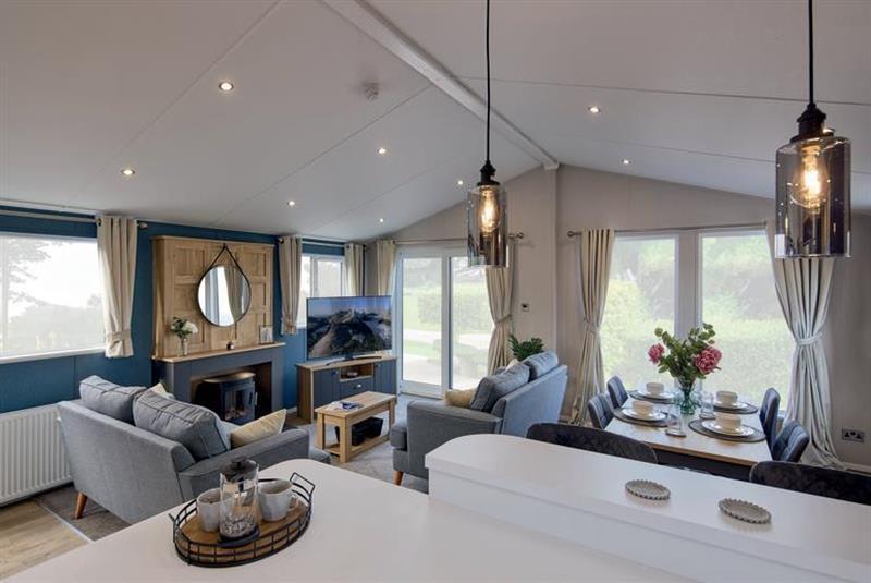 007769 2 20260219 00.jpeg