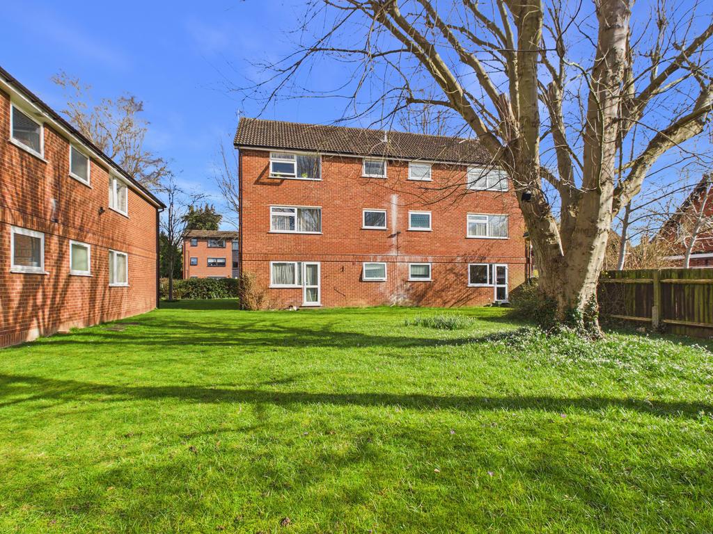 Rear (2)