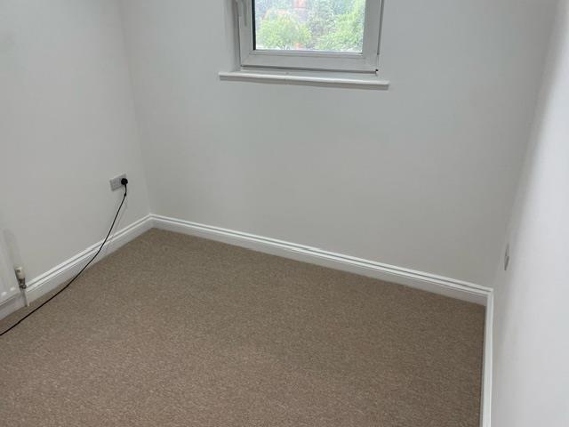 Image16.jpeg