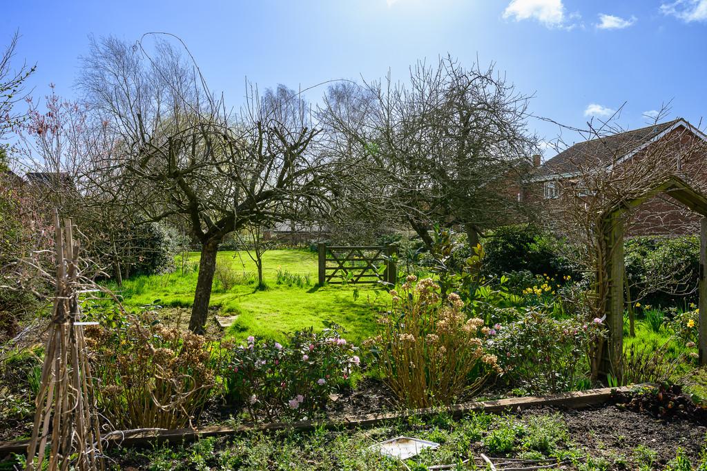 Orchard
