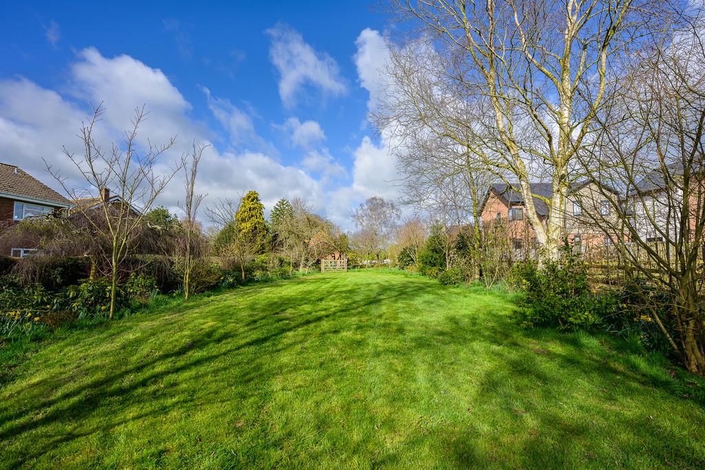 Rear Garden 2