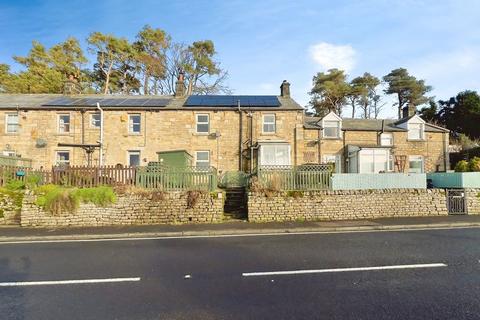undefined, Newcastle Upon Tyne NE19