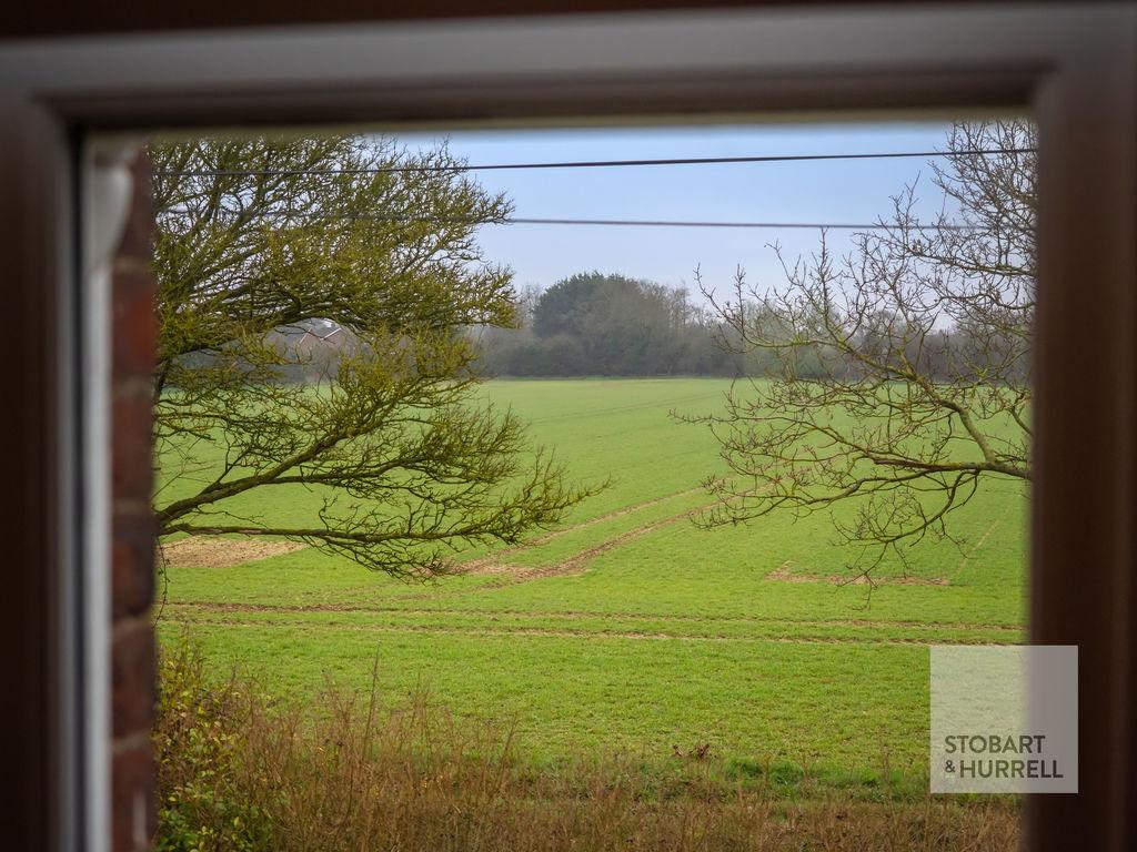 Field Views