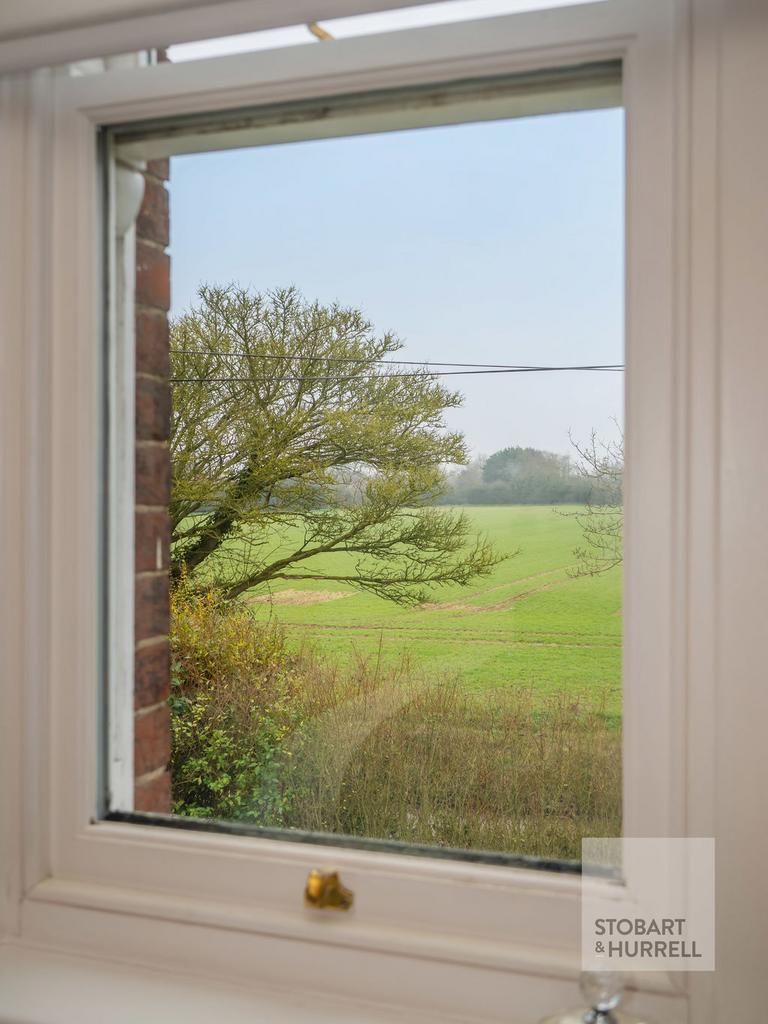 Room With A View