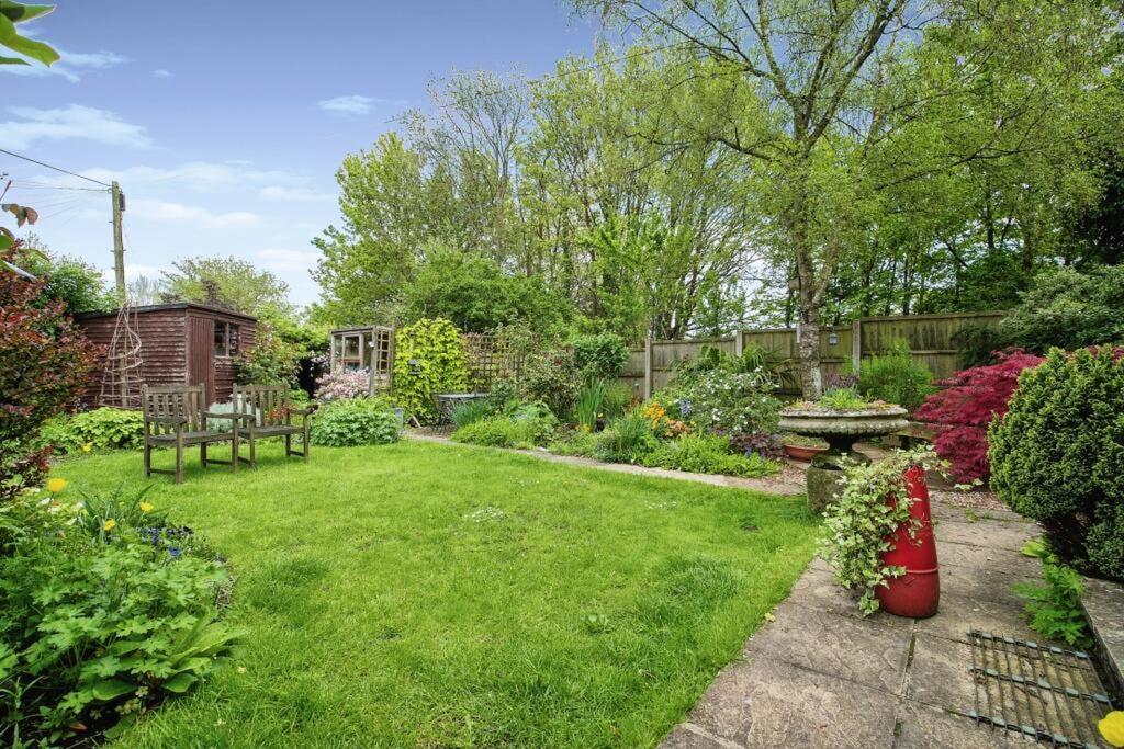 Side Garden