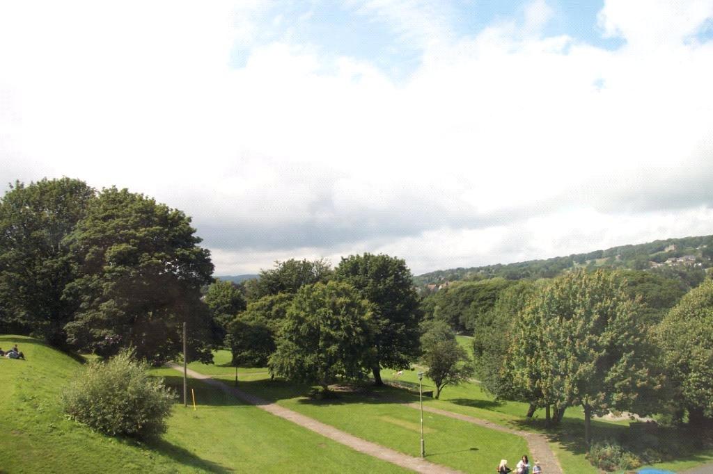Park Surroundings