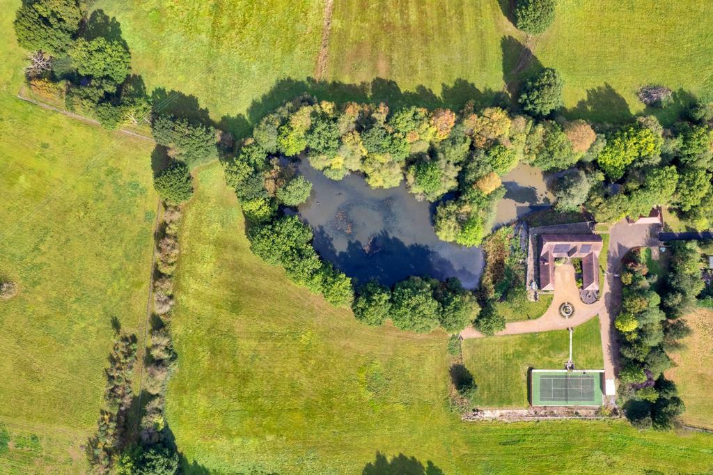Ariel View