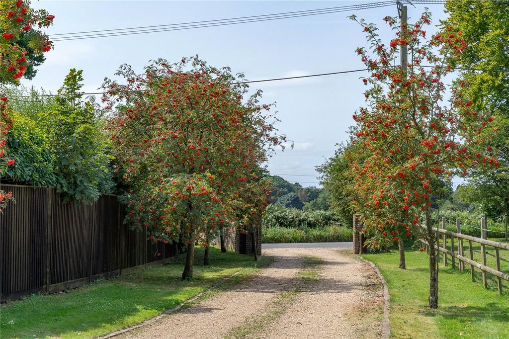 Driveway