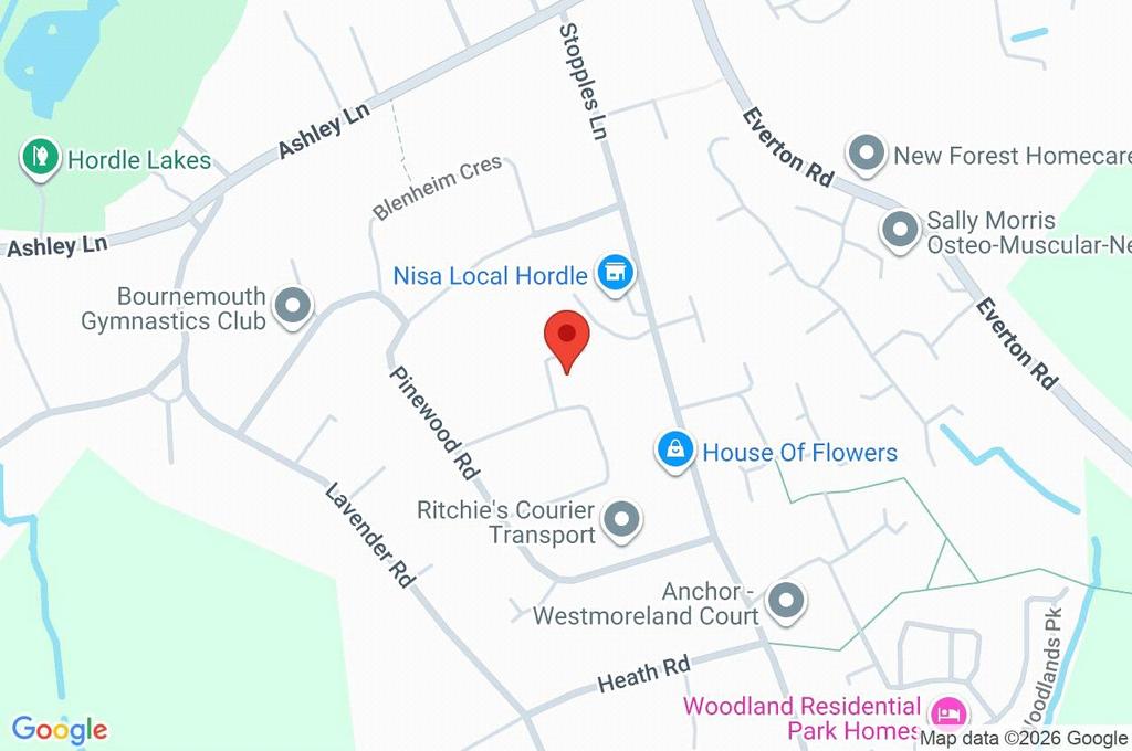 Google Maps Image