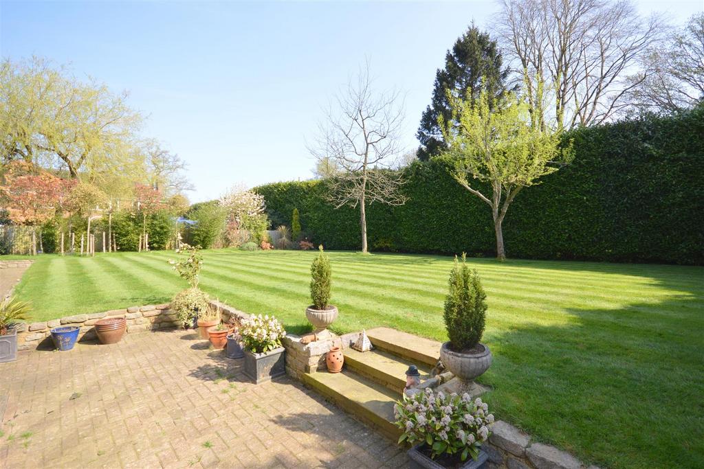 Garden new 1.jpg
