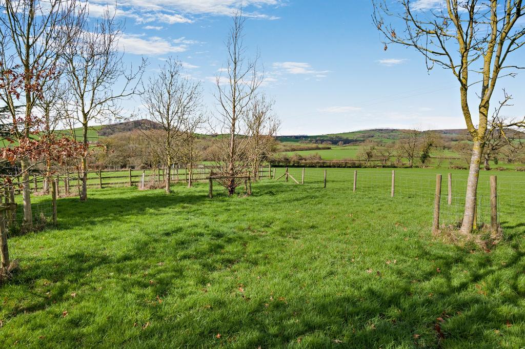 Grounds