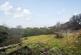 Additional image 11 of Gravelly Hill, Caterham, CR3