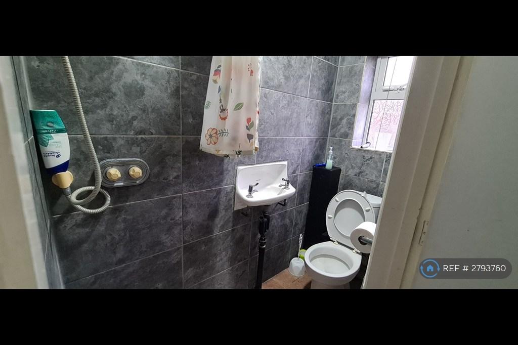 Downstairs Shower / Wc