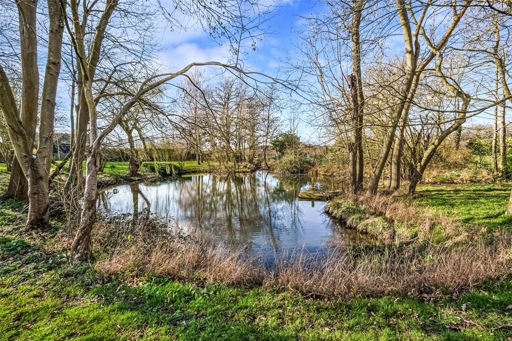 Pond