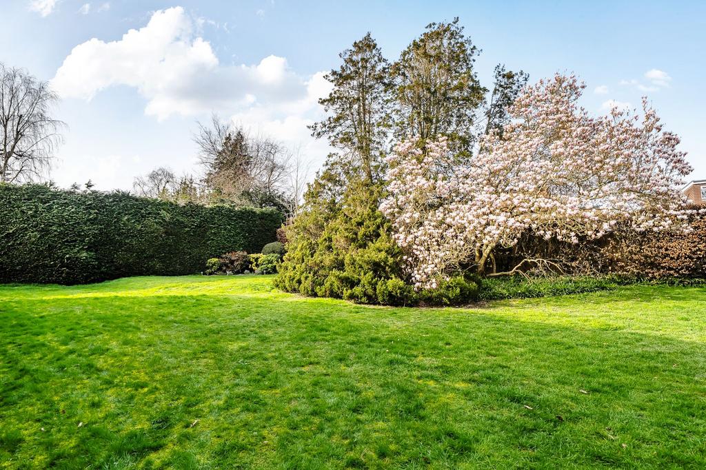Communal Gardens