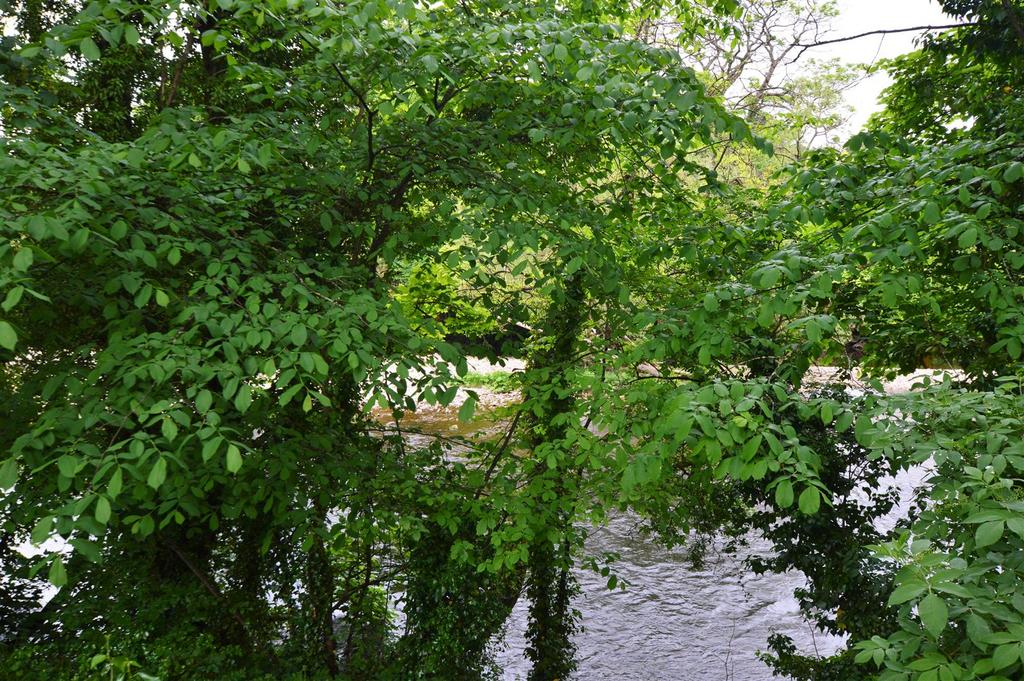 Dsc 0327.jpg