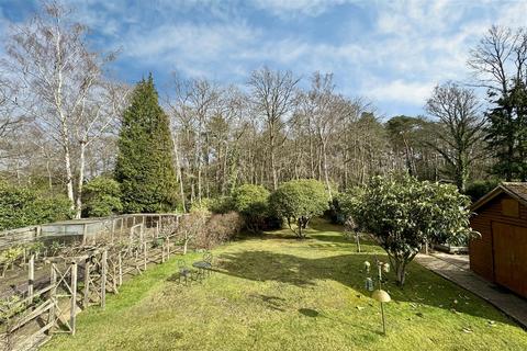 undefined, Gasden Copse, Witley