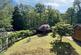 Gasden Copse, Witley photo 2