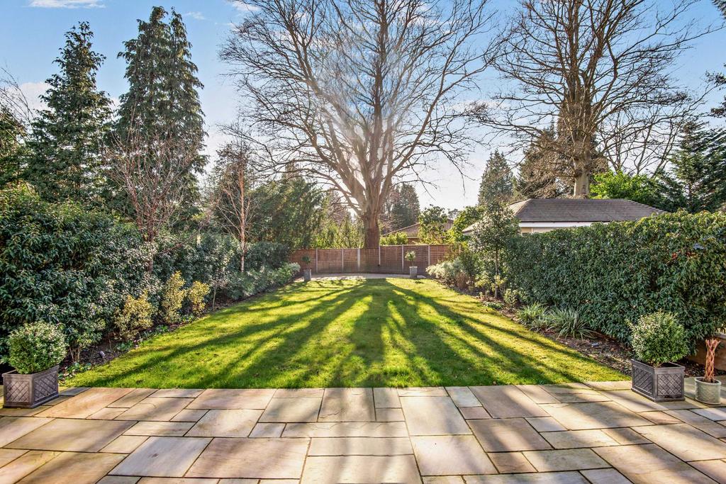 South Facing Garden