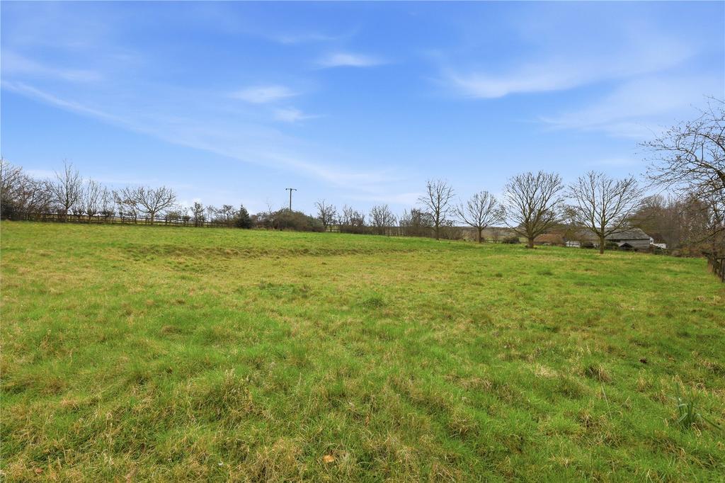 Field