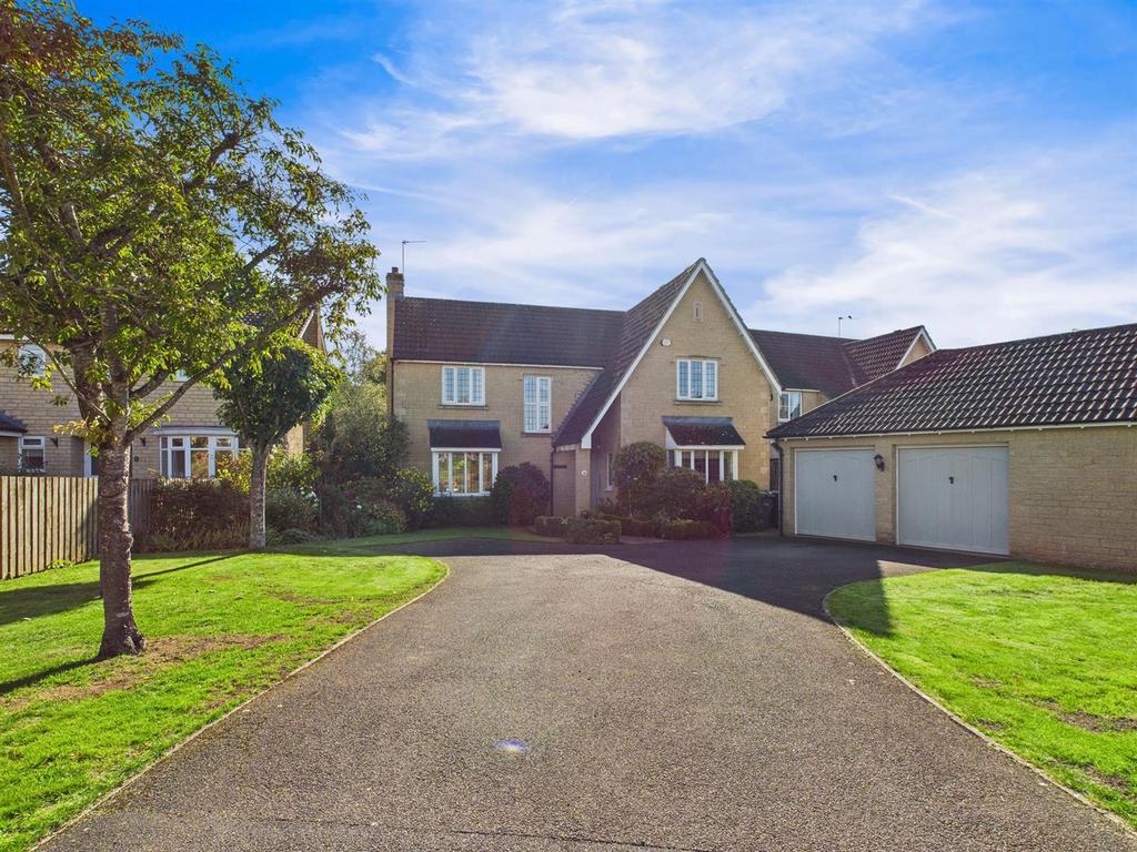 Front Aspect