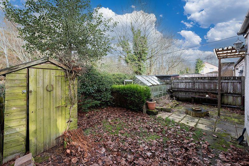 Back Garden