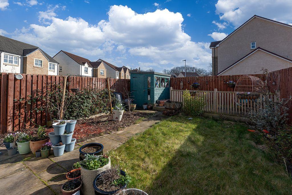Back Garden