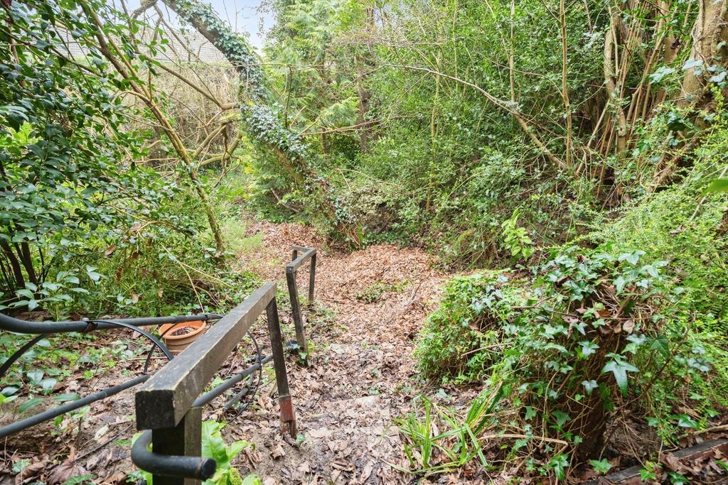 Steps To Woodland