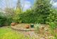 Additional image 16 of The Spinney, Robertsbridge, East Sussex, TN32