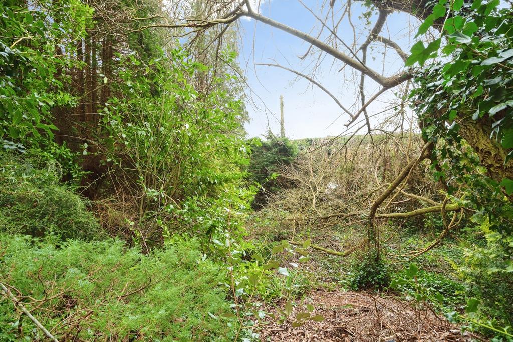 Woodland Area