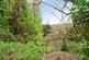 Additional image 18 of The Spinney, Robertsbridge, East Sussex, TN32