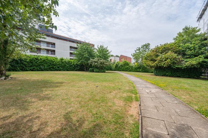 Chpk0739267 large-18-19 jpg