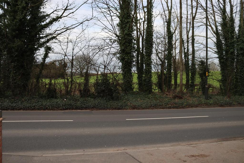 Img 2717.jpg