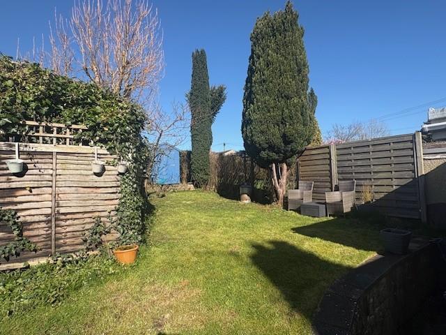 Backgarden1.jpg