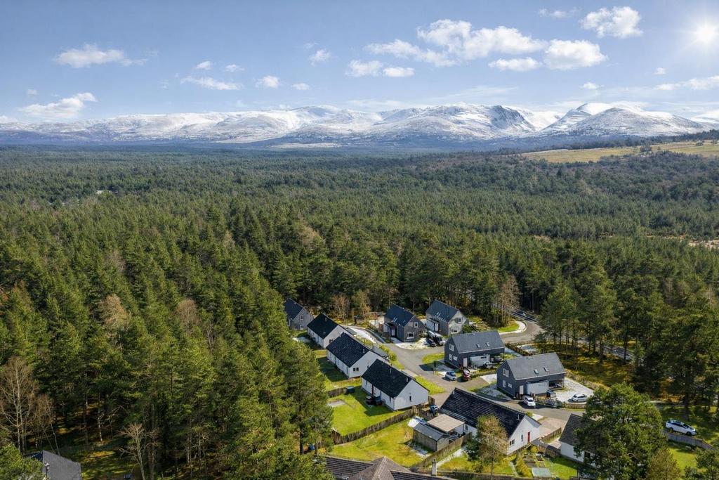 Ski Road Cottages aerial.png