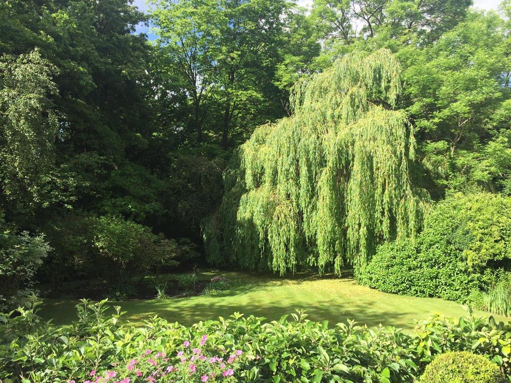 Summer garden.jpg