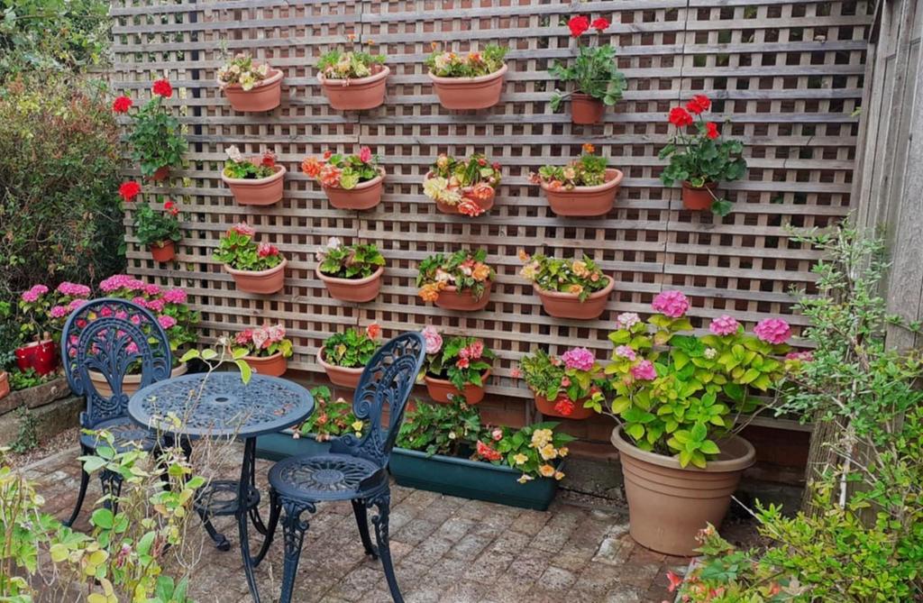 Garden 2.jpg