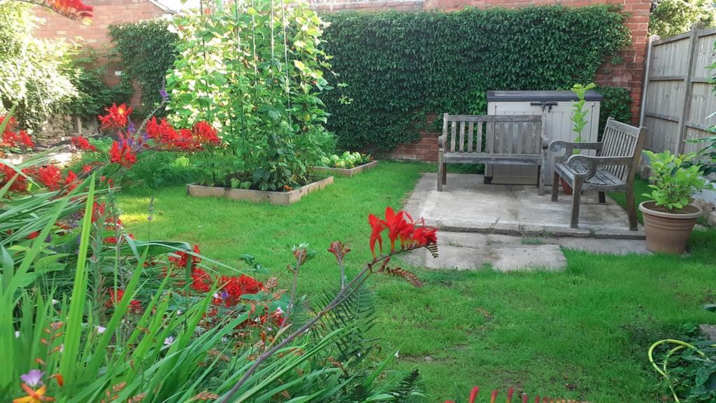 Garden3.jpg
