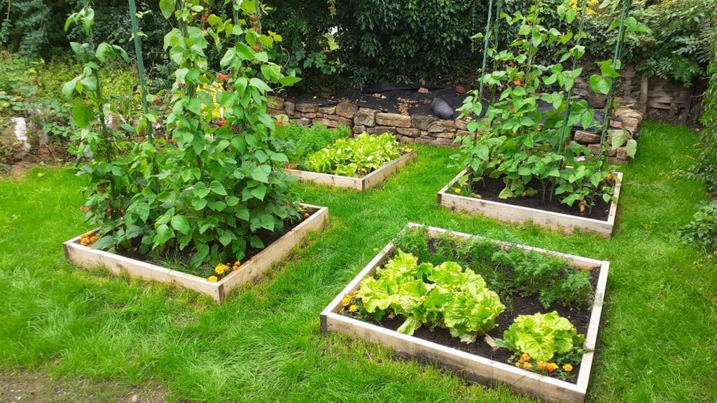 Garden 4.jpeg