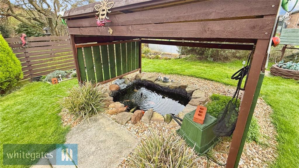 Communal Pond