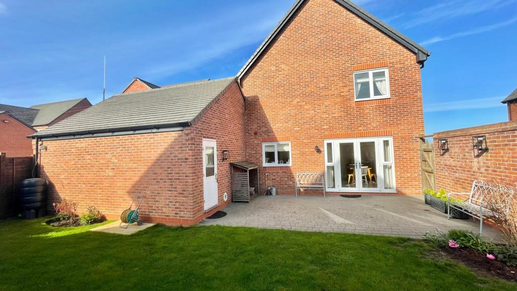 12.jpeg