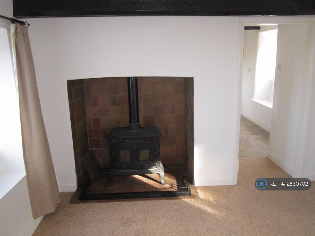 Log Burner