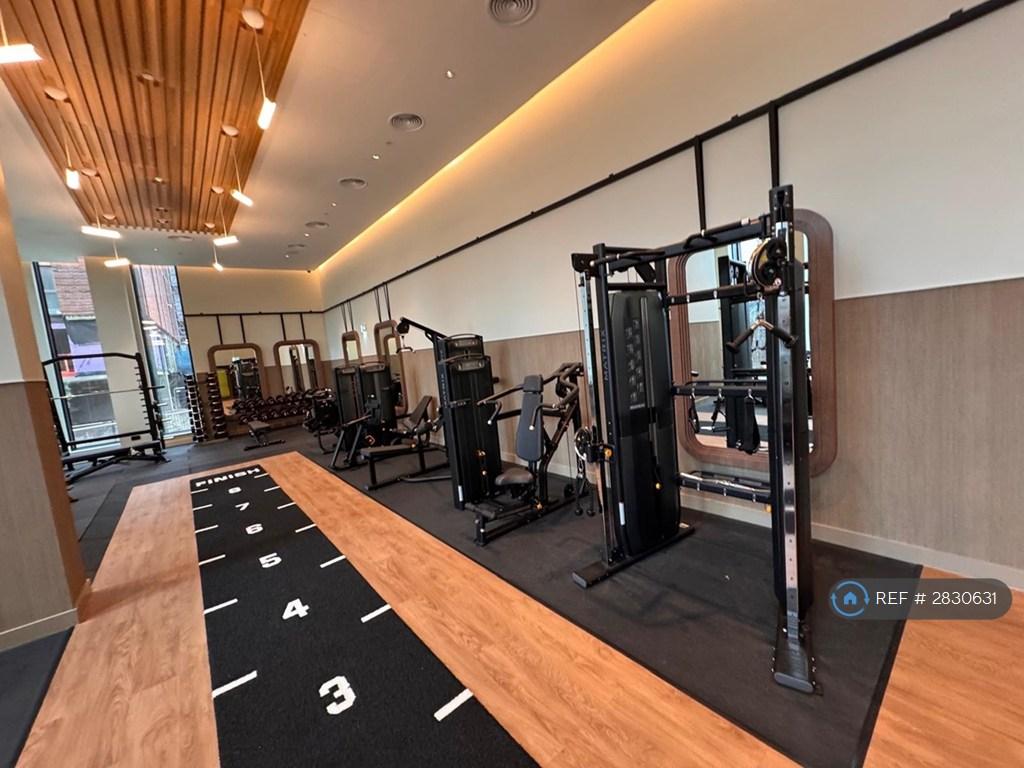 Gym Fully Equipped