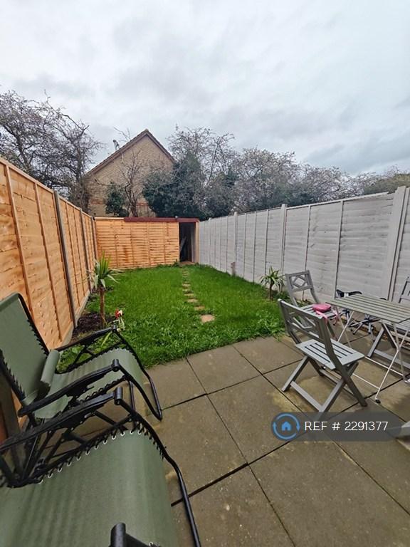 Back Garden