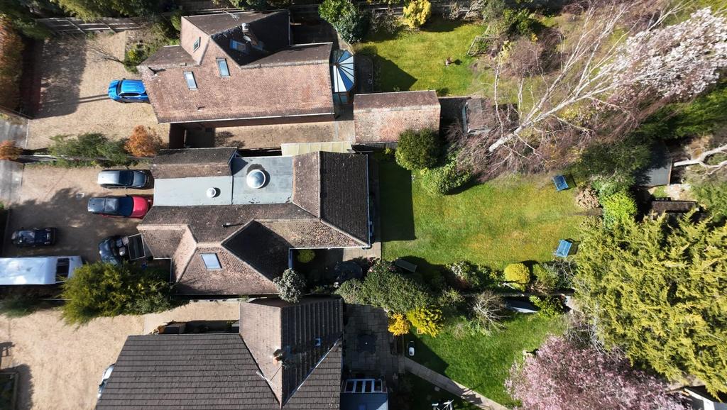 Dji fly 20260314 135214 0218 1773653147317 photo.j