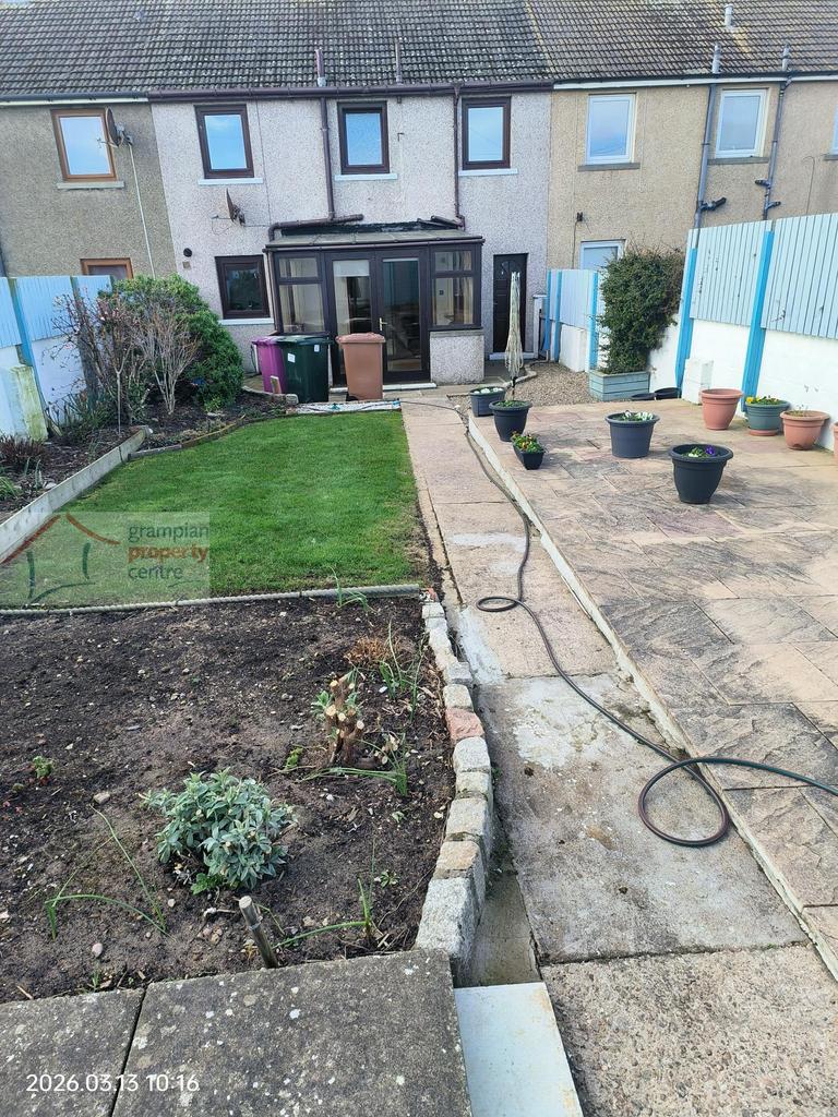 Garden 3