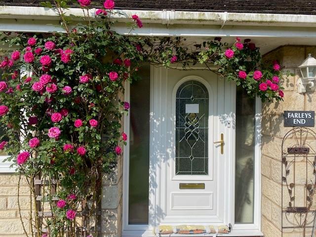 Rose Over The Front Door.jpg