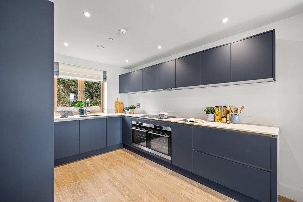 Show Kitchen