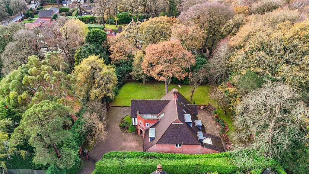 Dji 20251119101051 0763 d.JPG